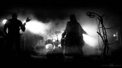 interview Bliss Of Flesh